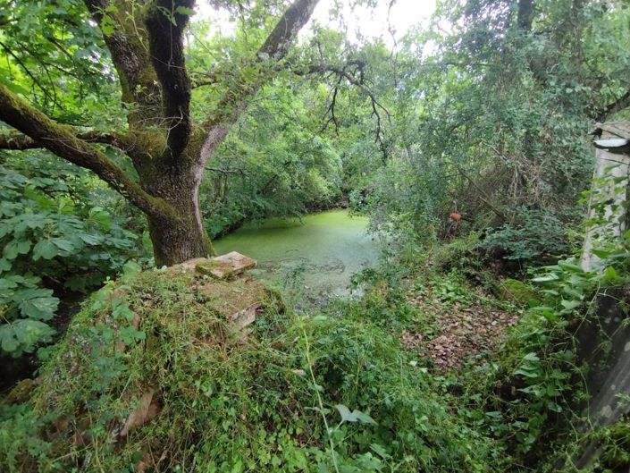 Image No.7-House for sale