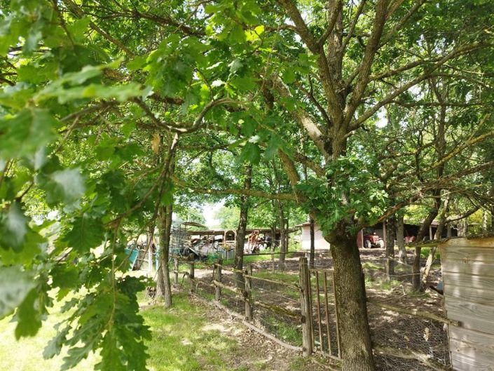 Image No.15-6 Bed Property for sale