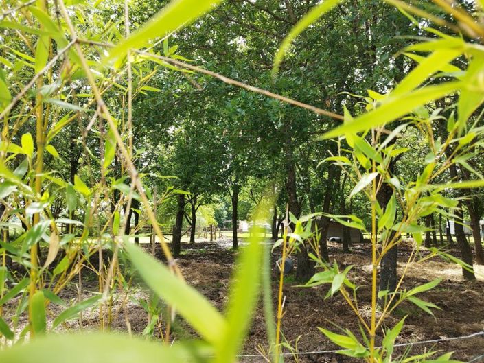 Image No.18-6 Bed Property for sale