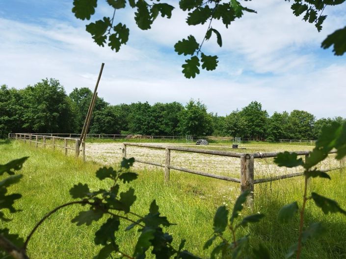 Image No.19-6 Bed Property for sale