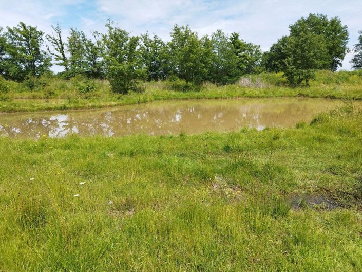 Image No.6-6 Bed Property for sale