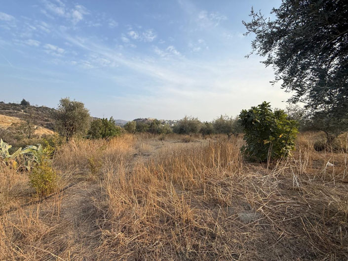 Image No.4-Terre à vendre à Larnaca