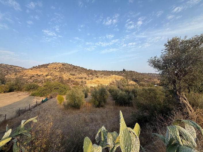 Image No.5-Terre à vendre à Larnaca