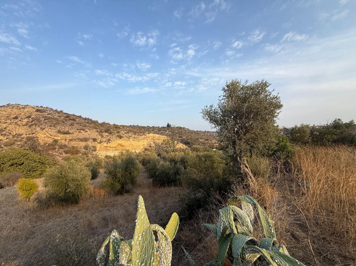 Image No.6-Terre à vendre à Larnaca