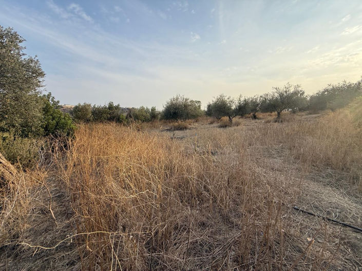 Image No.7-Terre à vendre à Larnaca