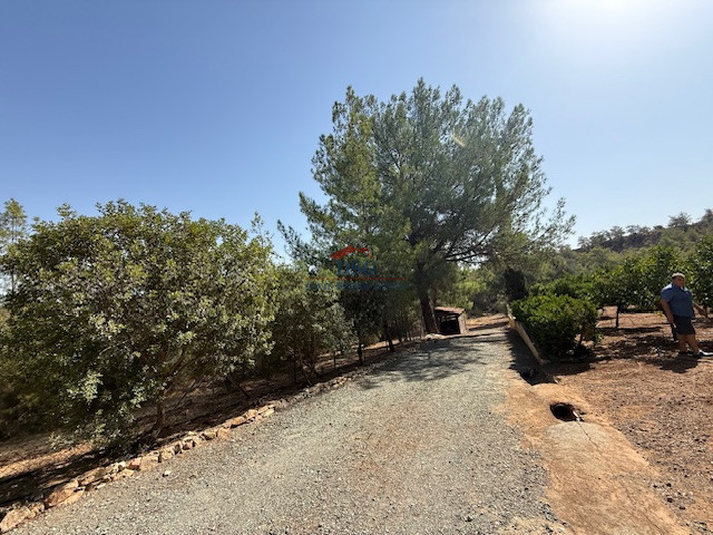 Image No.11-1 Bed Bungalow for sale