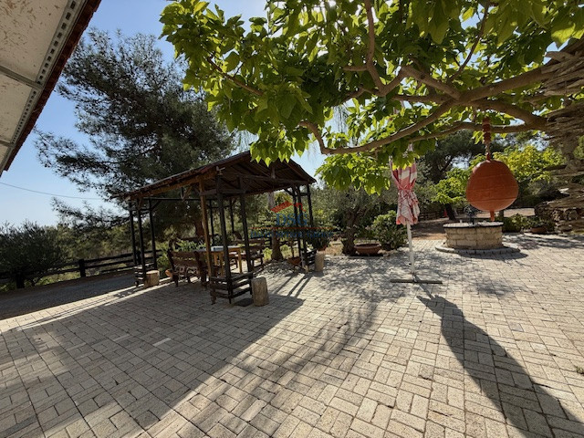 Image No.15-1 Bed Bungalow for sale