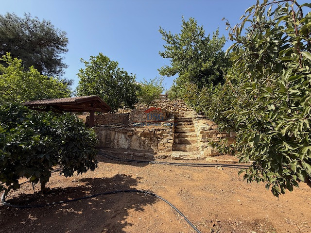 Image No.17-1 Bed Bungalow for sale