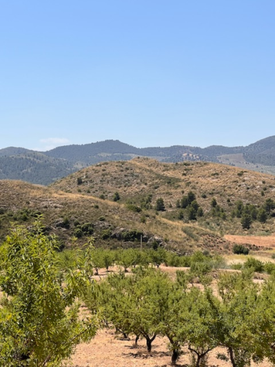 Image No.12-4 Bed Plot for sale