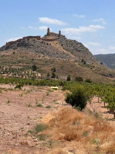 Image No.9-Terrain de 4 chambres à vendre à Lorca
