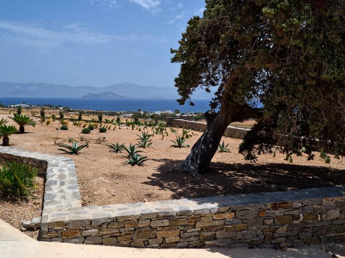 Image No.38-Villa de 6 chambres à vendre à Ampelas