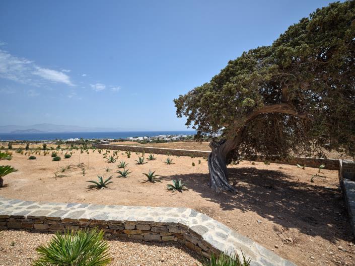 Image No.34-Villa de 6 chambres à vendre à Ampelas