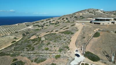 thumbnail_DJI_0133
