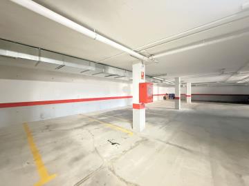 24-613bbc26f32d7013d348ef202dd30a43