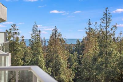 12-9d2414e6554ff283a7dbb3894364f2bd