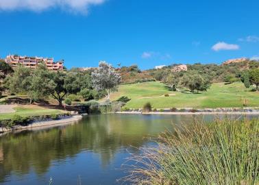 21-2c707e7c511429b4f8ec4ee5f221ddb6