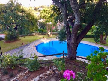 6-fa543ff60f4e104718a0562ed3ccbf30