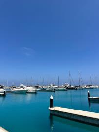 IMG-20250623-WA0141