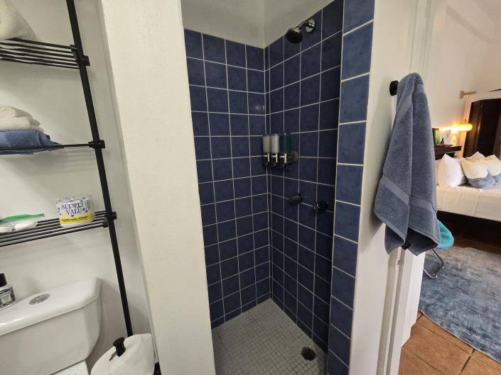 Image No.54-Maison / Villa de 5 chambres à vendre à Dominique