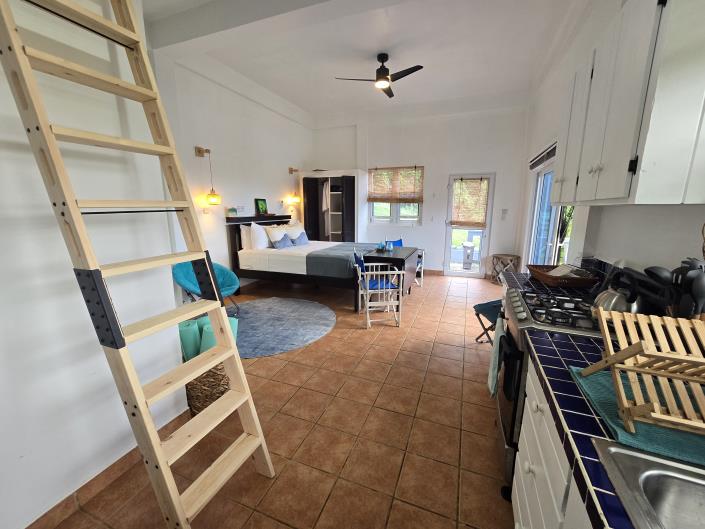 Image No.50-Maison / Villa de 5 chambres à vendre à Dominique