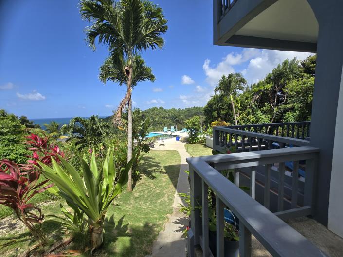 Image No.55-Maison / Villa de 5 chambres à vendre à Dominique