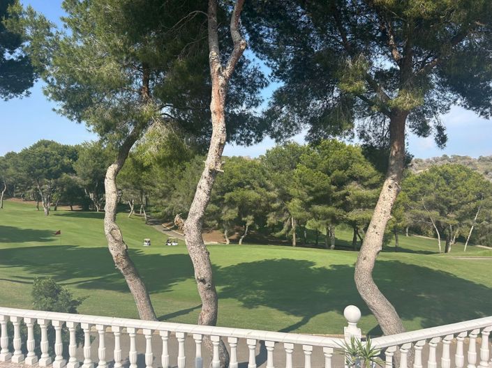 Image No.4-5 Bed Villa for sale