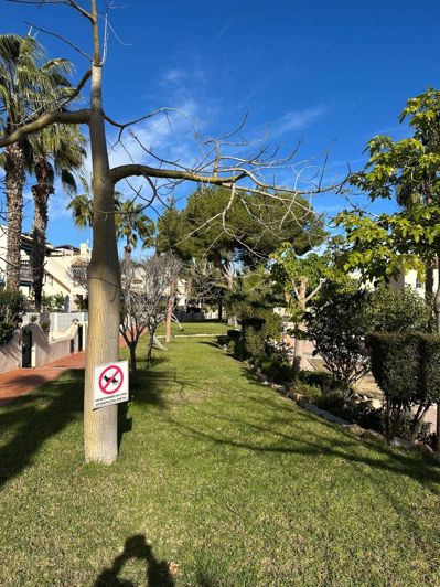 Image No.30-Maison de ville de 2 chambres à vendre à Las Ramblas