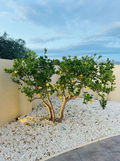 Image No.44-4 Bed Villa for sale