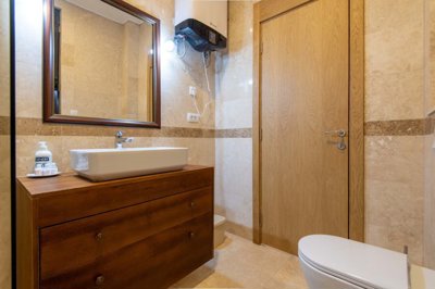 11-luxury-one-bedroom-apartment-skocidjevojka
