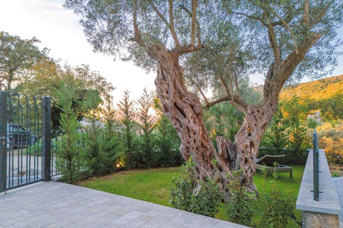 Image No.9-Maison de 3 chambres à vendre à Budva