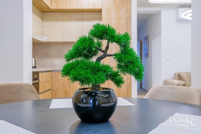 Image No.23-Studio à vendre à Budva