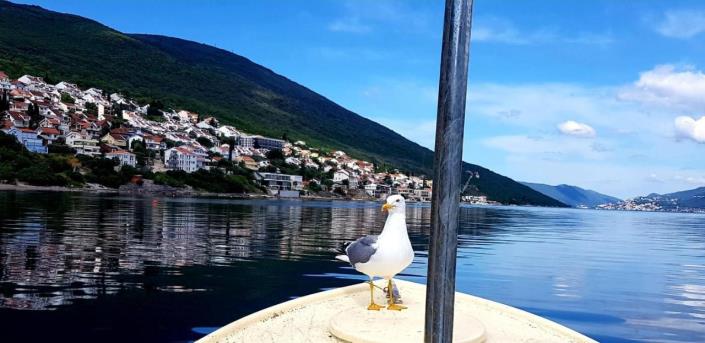 Image No.17-7 Bed House for sale