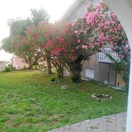 img-20230628-wa0019