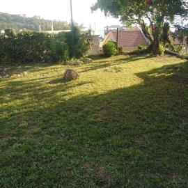 img-20230717-wa0005