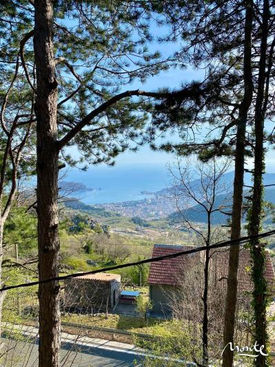 Image No.16-Maison de 3 chambres à vendre à Budva