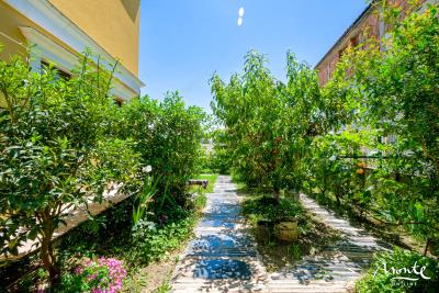 dom_tivat-15