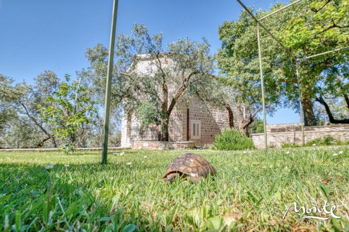 Image No.20-4 Bed House for sale