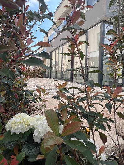 Image No.34-3 Bed House for sale