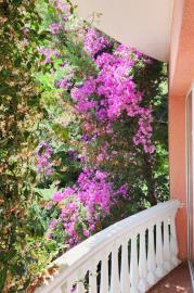 prostornyj-3-etazhnyj-dom-v-tihom-rajone-bara-s-vidom-na-more_11