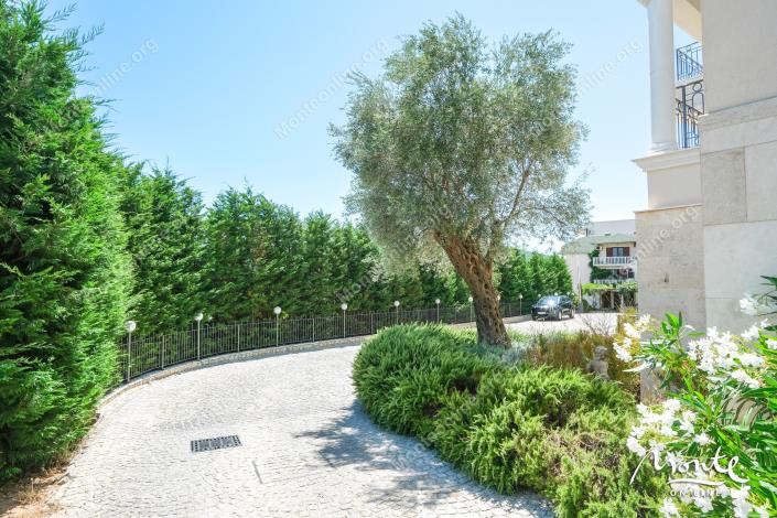 Image No.39-3 Bed Flat for sale