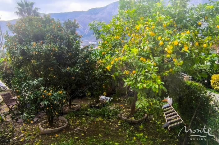 Image No.19-2 Bed Flat for sale