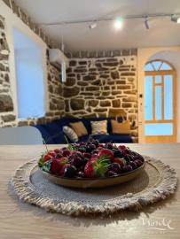 uyutnaya-kvartira-s-1-spalnej-terrasoj-i-luzhajkoj-v-herczeg-novi_03