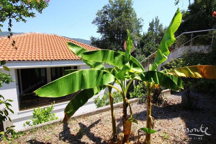 Image No.31-3 Bed House for sale