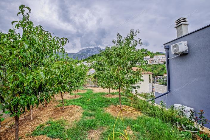Image No.22-2 Bed House for sale