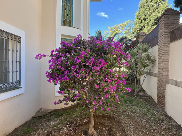 Image No.46-3 Bed Property for sale