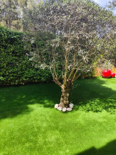 Image No.18-Maison de 3 chambres à vendre à Camp de Mar