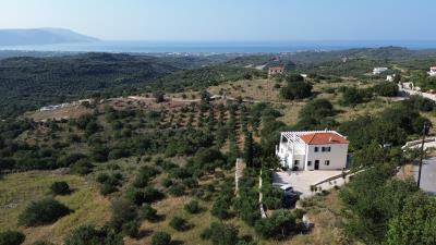 DJI_0424