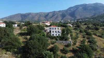 DJI_0429