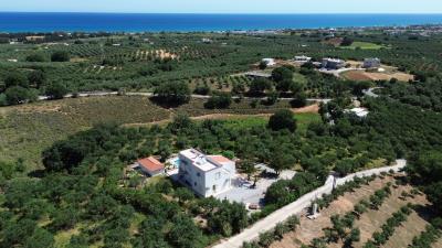 DJI_0234