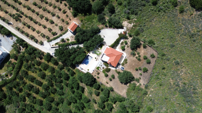 DJI_0219